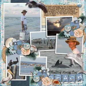 Shelling Along The Beach