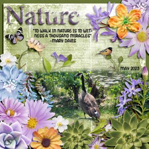 NATURE-QUOTE-8-24