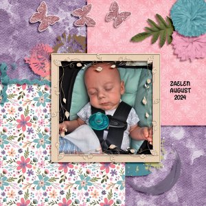 ZAE-MINI KIT-8-24