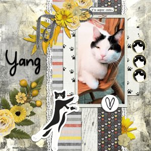 Font Challenge 8 Yang