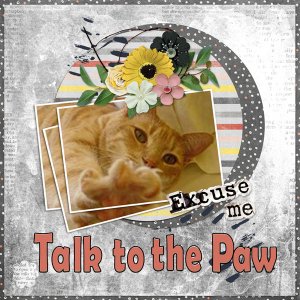 Talk to the Paw