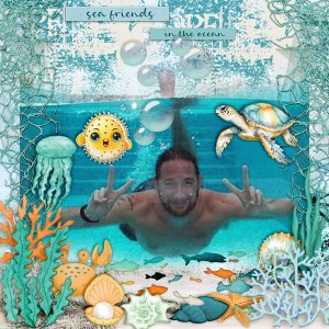 Sea-friends-in-the-ocean