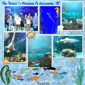 August 2024 Created With Rewards Challenge