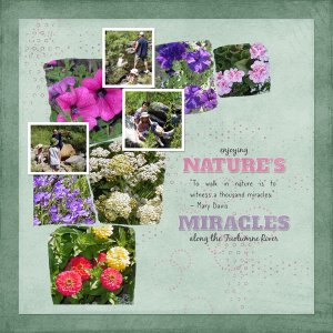 Miracles