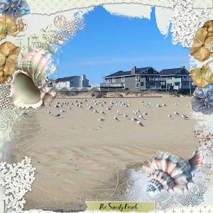 Arrival Summer