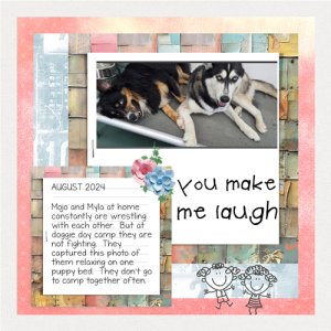 2024-08-11-doggie day camp