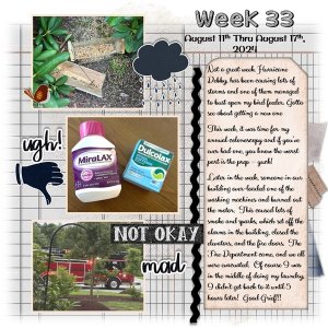 Project 365 Challenge - Week 33