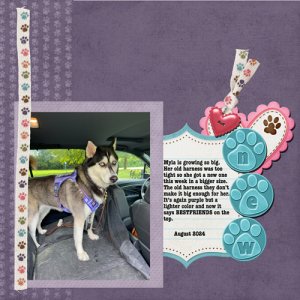 2024-08-11-myla new harness