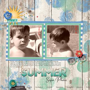 Summer Sepia Photos