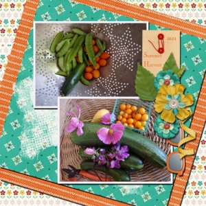 Summer Harvest
