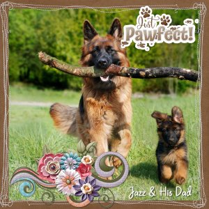 Jazz + His Dad