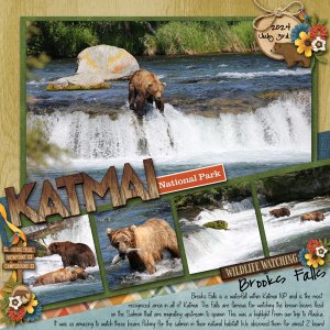 2024 August Spotlight Designer Challenge