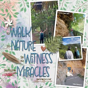 To Walk in Nature