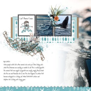 Bycatch