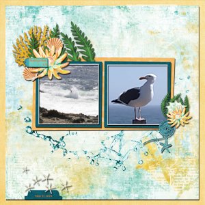 Bodega Bay 2