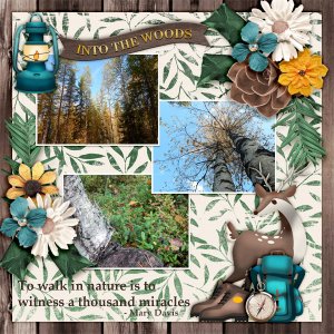 Into-the-woods6