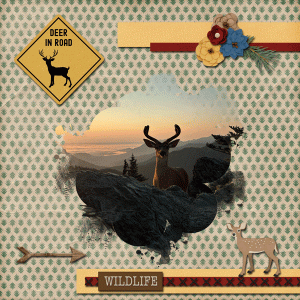 08-Aug-24-Photomask-Challenge