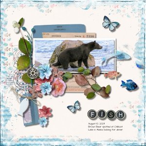 Alaska Brown Bear