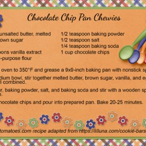Chocolate Chip Pan Chewies