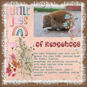 Of Hedgehog
