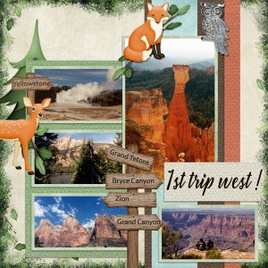 Western Trip