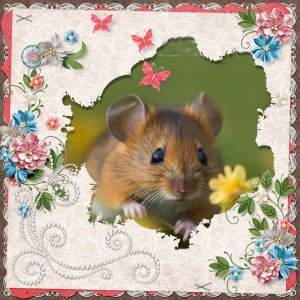 Field Mouse