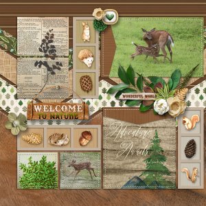 202408 Pinterest Challenge