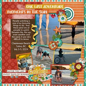 _Sweet Days of Summer_