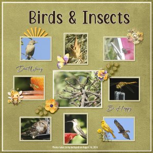 birds_and_insects_small