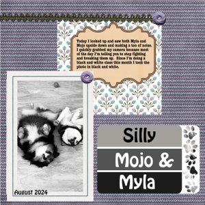2024-08-18-Myla and Mojo
