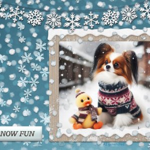Snow Fun
