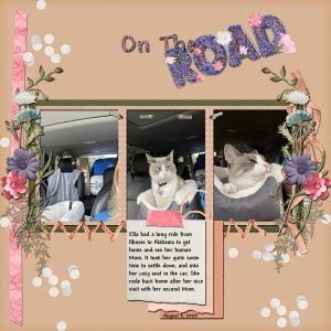 On The Road
