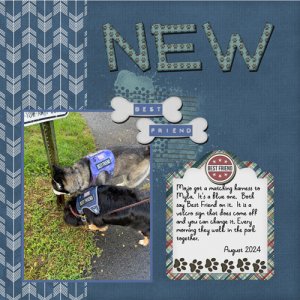 2024-08-20-mojo harness