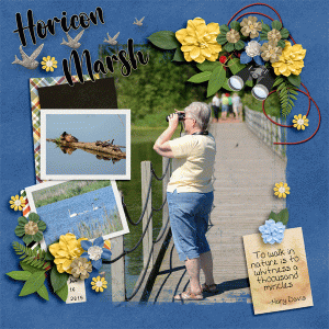 Horicon March boardwalk