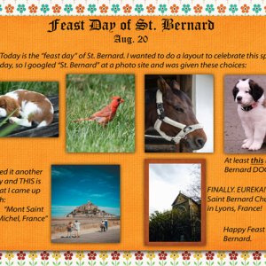 Feast Day of St. Bernard