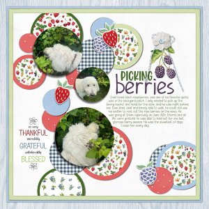 Picking Berries