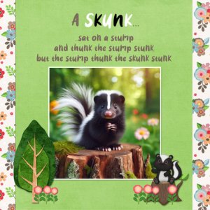 A Skunk...