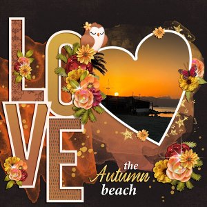 love the autumn beach