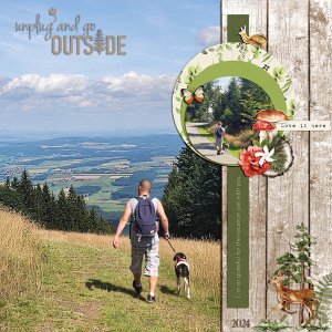 on the mountain Hohenbogen