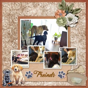 Puppy Friends