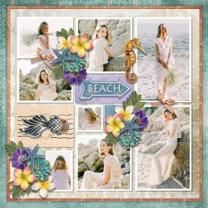 T. Pocket album 20