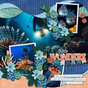 Sea Wonders