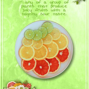 ATC 2024-030 Citrus