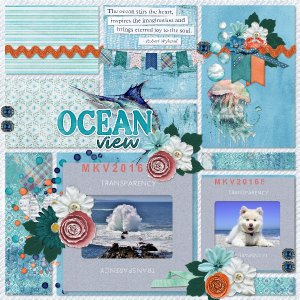 Ocean