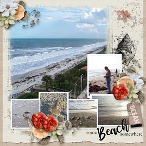 Morning on the Beach