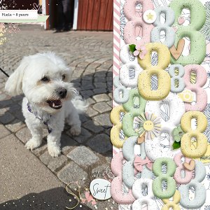 Pixie 8 Years