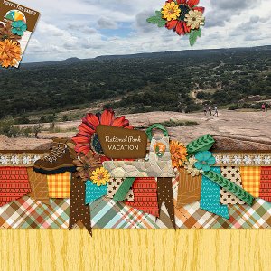 Enchanted Park View