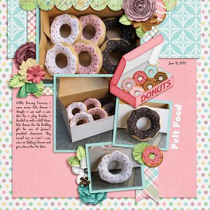 Felt Donuts