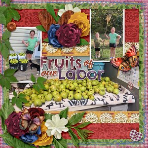 Fruits Of Our Labor