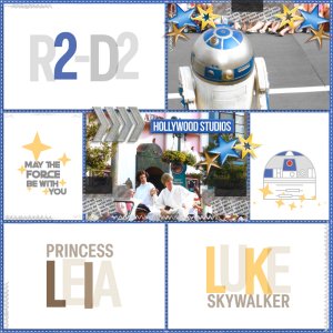 Luke Skywalker, Princess Leia, and R2D2